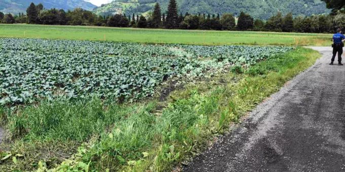 Auto in Gemüseacker gefahren.
