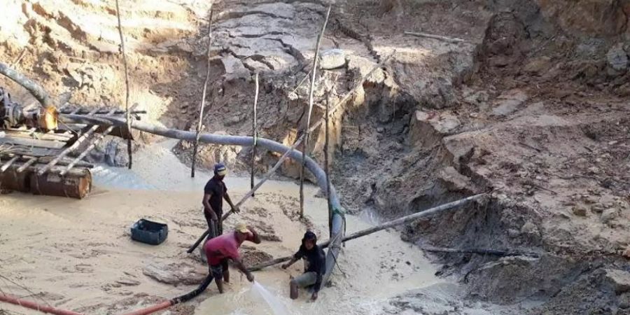 «Garimpeiros», illegale Goldgräber, haben im brasilianischen Bundesstaat Pará Schneisen in den Regenwald geschlagen und sich tief in die Erde gegraben. Foto: Martina Farmbauer/dpa