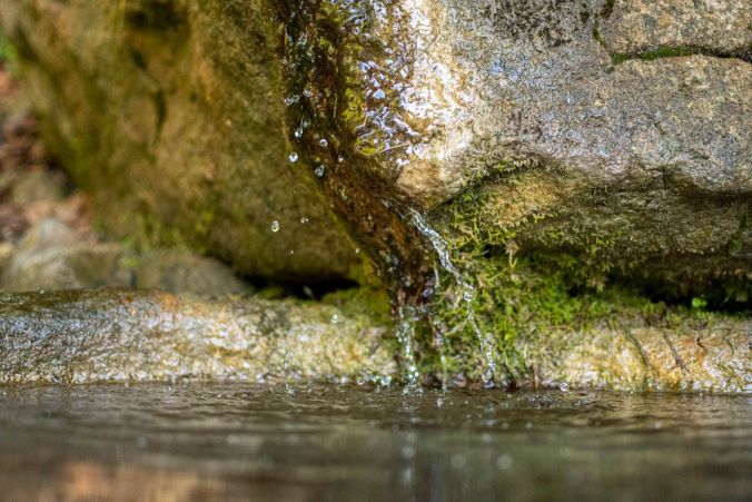 Kaltes Wasser strömt durch den Leutwiler Wald.