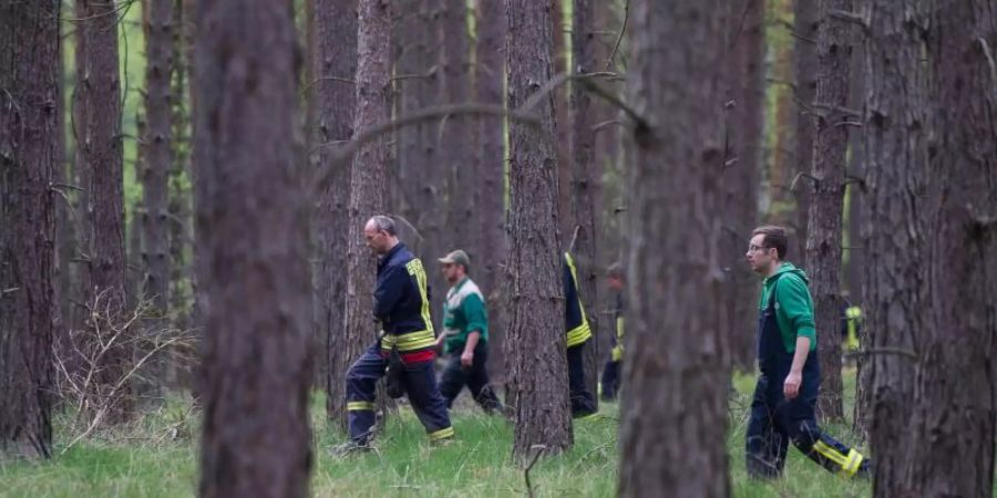 Einsatzkräfte suchen in einem Waldgebiet bei Wilhelmshof ein vermisstes Mädchen. Foto: Lukas Schulze/dpa