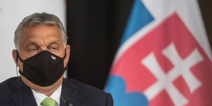 Ungarns Regierungschef Viktor Orban