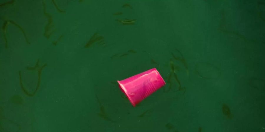 Müll in der Ostsee: Die Lage der europäischen Meere muss angesichts umfassender Probleme wie Überfischung, Klimawandel und Verschmutzung schleunigst verbessert werden, befindet die EU-Umweltagentur. Foto: Stefan Sauer/dpa-Zentralbild/dpa