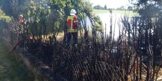 Pfyn TG - Hecke in Brand geraten