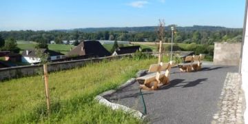Gemeinde Eggenwil