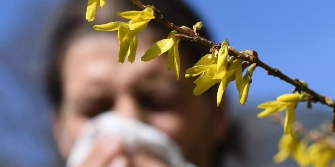 Die Pollen-Saison neigt sich dem Ende zu. (Symbolbild) pollen
