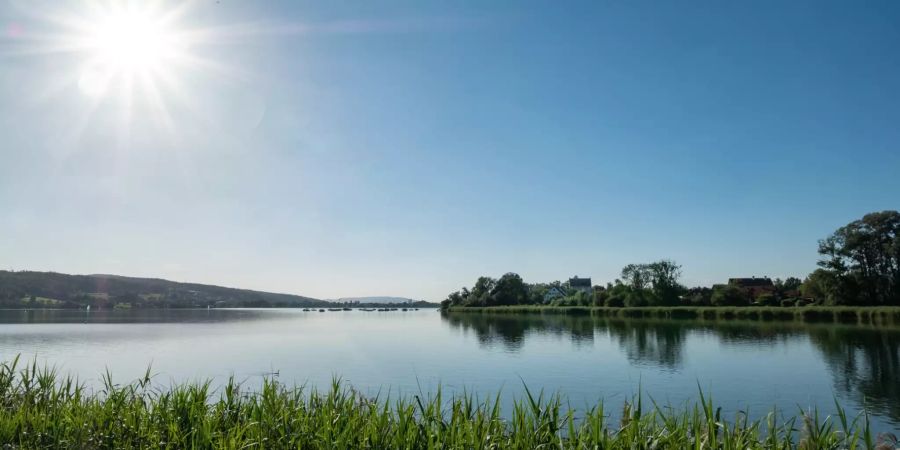 Der Greifensee im Bezirk Uster.