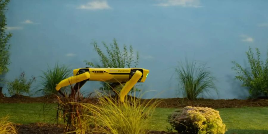 Singapur Roboter Hund Spot