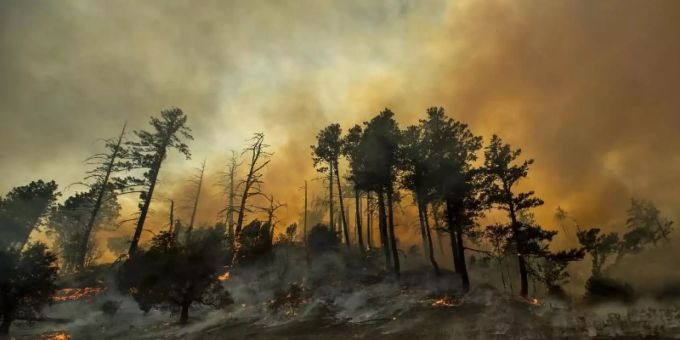 Feuerwehrleute bei der Bekämpfung des «Kincade-Feuers» in der Nähe von Geyservillle in Kalifornien. Foto: Noah Berger/AP/dpa Feuerwehrleute bei der Bekämpfung des «Kincade-Feuers» in der Nähe von Geyservillle in Kalifornien. Foto: Noah Berger/AP/dpa