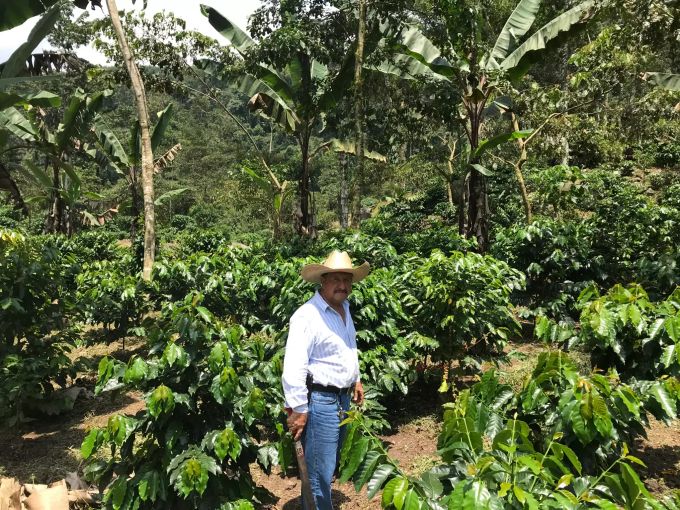 Der Kaffeebauer Jose de Leon steht auf einer Plantage im guatemaltekischen Department San Marcos. Kaffeebauern