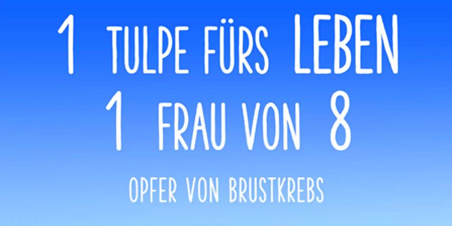 1 Tulpe fürs LEBEN