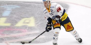 zsc lions