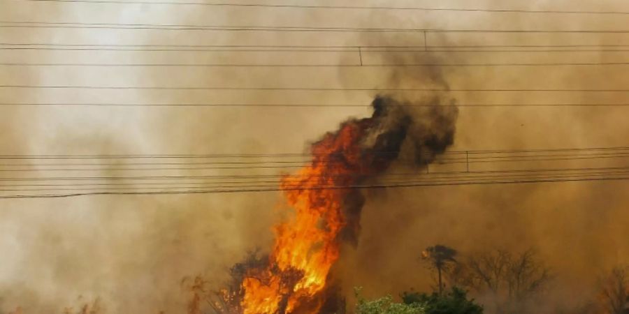 Brand im Pantanal