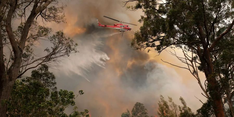 Buschfeuer in Australien