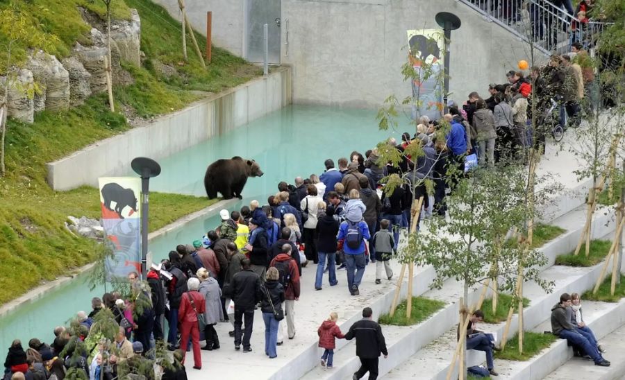 Bärenpark Bern