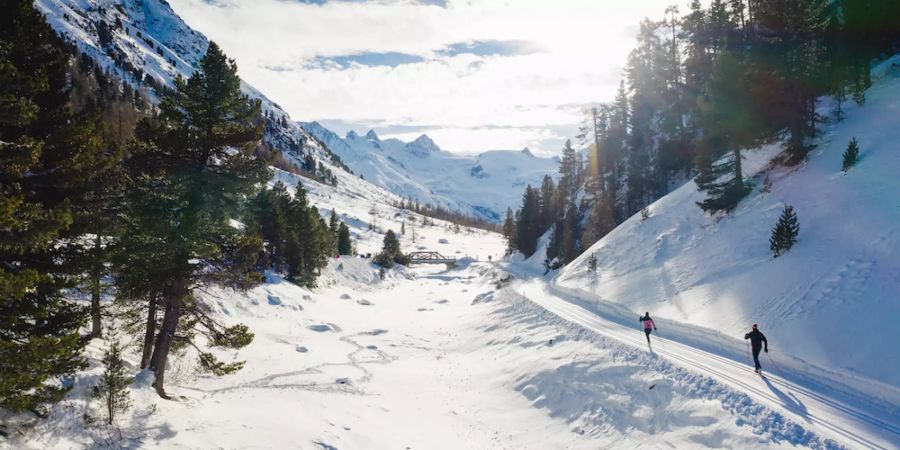 Langlaufen im Engadin