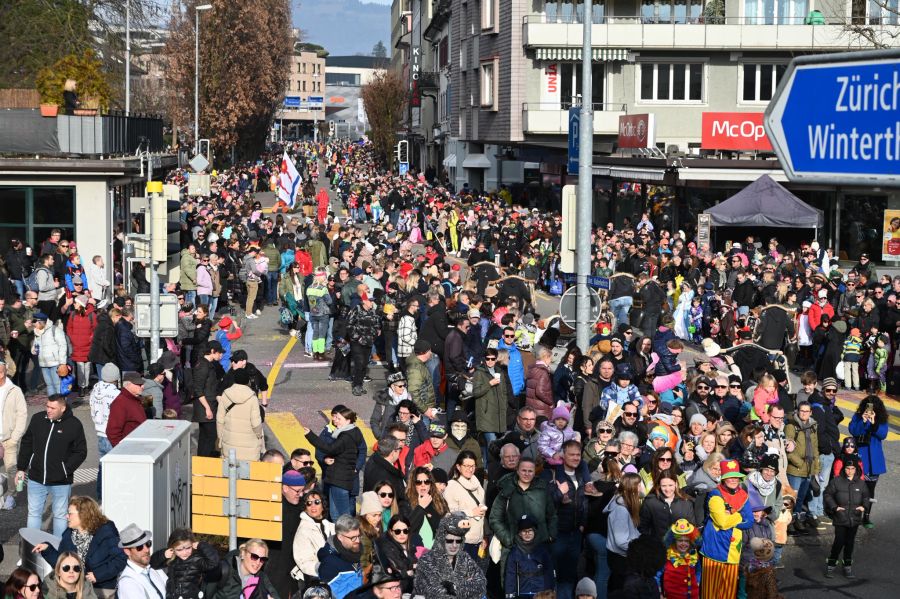 Der Fasnachtsumzug in Rapperswil zog zahlreiche Menschen an.