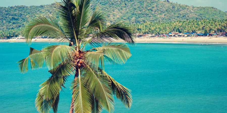 Palolem Beach, Goa, Indien, Palmen, Strand