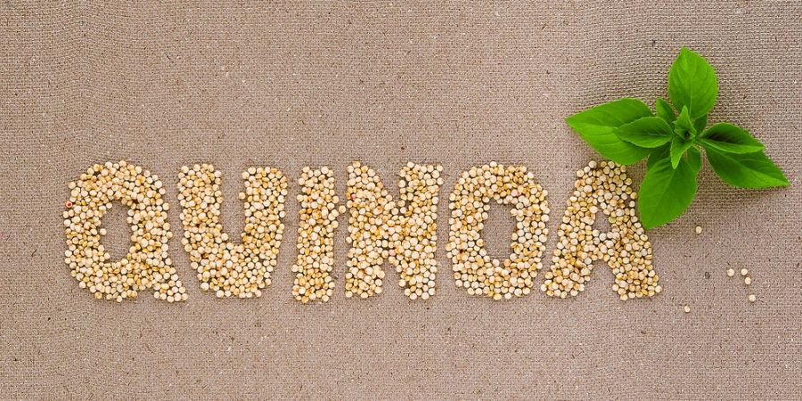 Schrift aus Quinoa Wort Quinoa
