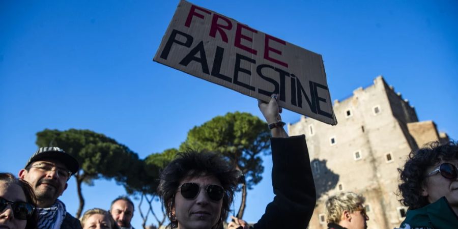 Free Palestine Pappschild Protest