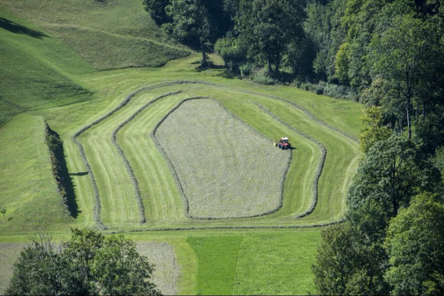 2023 haben 139 landwirtschaftliche Betriebe über 300'000 Franken an Direktzahlungen vom Bund erhalten. (Symbolbild)