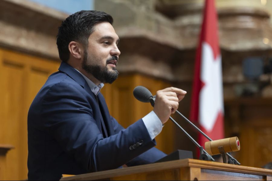 Wermuth Auszeit Gesetz SP