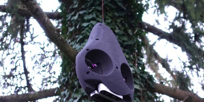 Wie eine Spinne - Ein neuer Roboter soll im Regenwald Daten sammeln