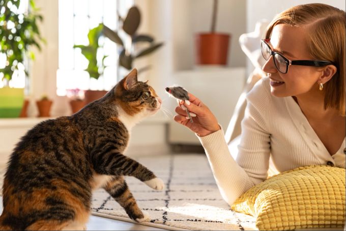 Verbringen Sie bewusst Zeit mit Ihrem Liebling, das hilft ihm zu entspannen. Katze, Stress, Entspannung
