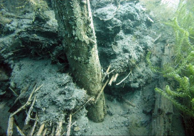 Von einem Hobbytaucher zufällig entdeckte Jungsteinzeit Funde im Vierwaldstaettersee. Jungsteinzeit Funde im Vierwaldstaettersee