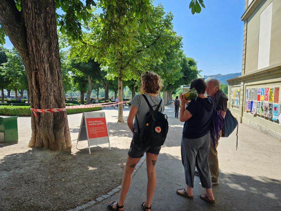 Auf dem Münsterplatz in Bern sorgen die Tafeln ebenfalls für Aufmerksamkeit.