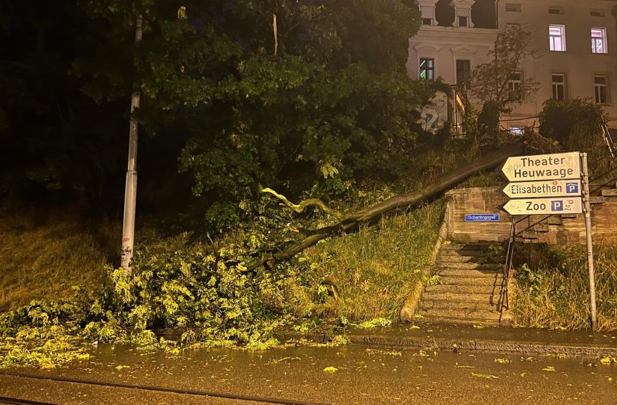 Auch in Basel stürzten Bäume um.