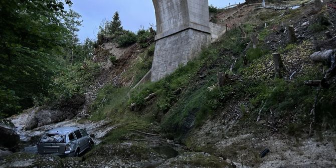 Von Brücke gestürzt