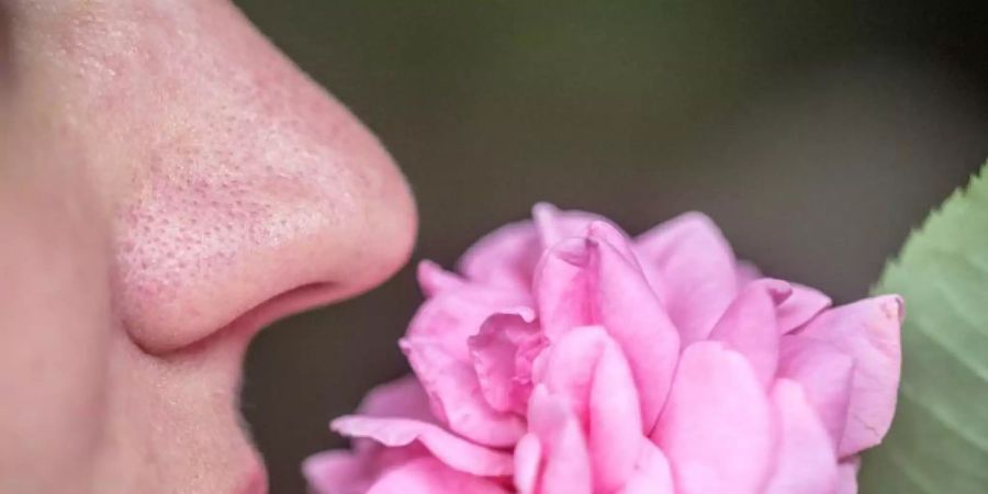 Eine Frau riecht an einer Blume. Foto: Maria Berentzen/dpa