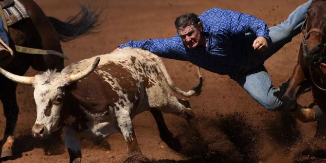 rodeo