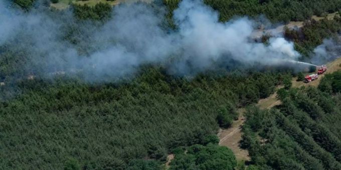 In einem Waldstück bei Jüterbog (Brandenburg) bekämpfen Feuerwehrleute einen Waldbrand. Foto: Paul Zinken/dpa-Zentralbild/dpa Brandenburg Jüterbog Waldbrand