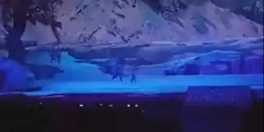 Wolf
