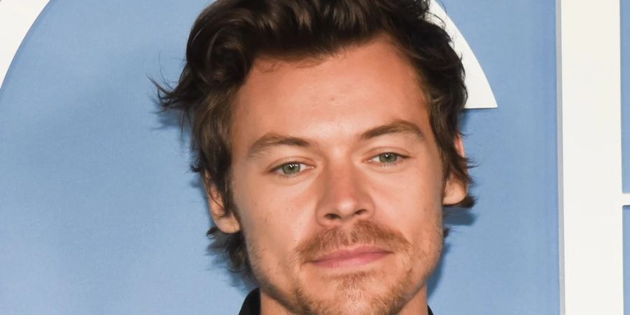 Harry Styles erlebt derzeit einen regelrechten Hype.