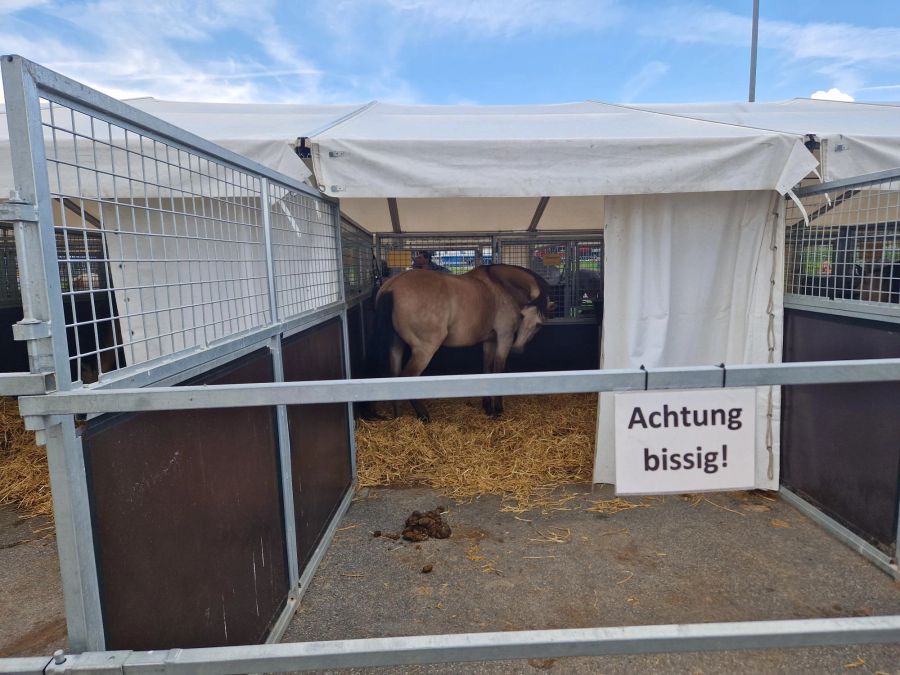 Dieses Schild warnte kurz vor angeblich bissigen Pferden beim Cirucs Knie.