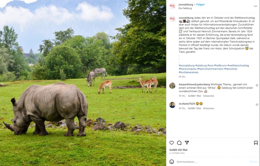 Die Nashörner können nach dem tragischen Unfall jedoch nur draussen bestaunt werden.