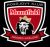 Logo Mountfield HK