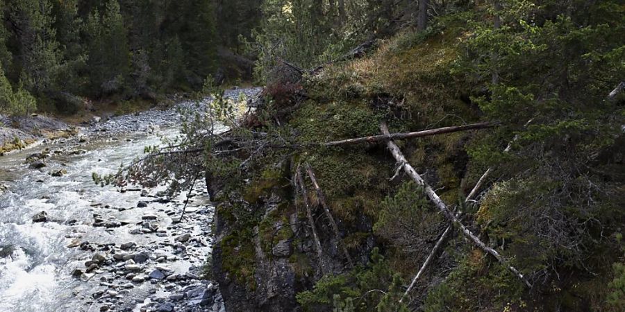 Das im Wildbach Spöl im Schweizer Nationalpark nach der PCB-Verseuchung eingesparte Wasser soll für ein hydrologisches Experiment im Inn genutzt werden. (Archivbild)