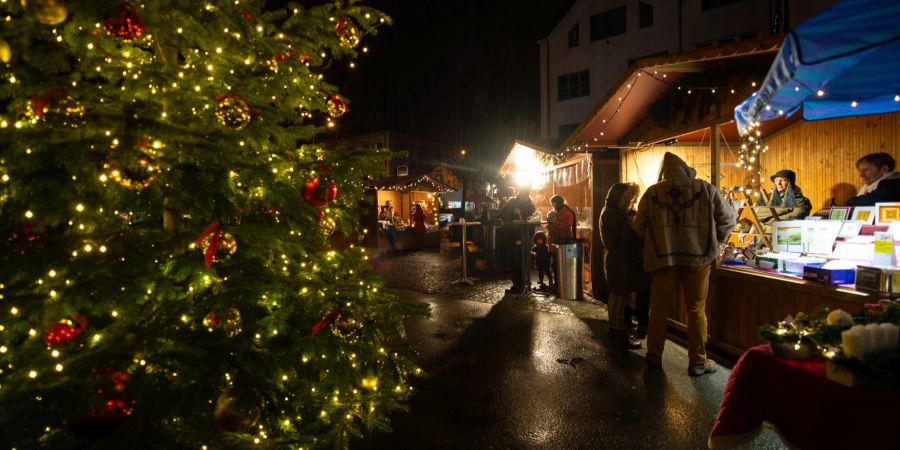 Viele würden sich auf den 1. Advent hin eine winterliche Landschaft wünschen.