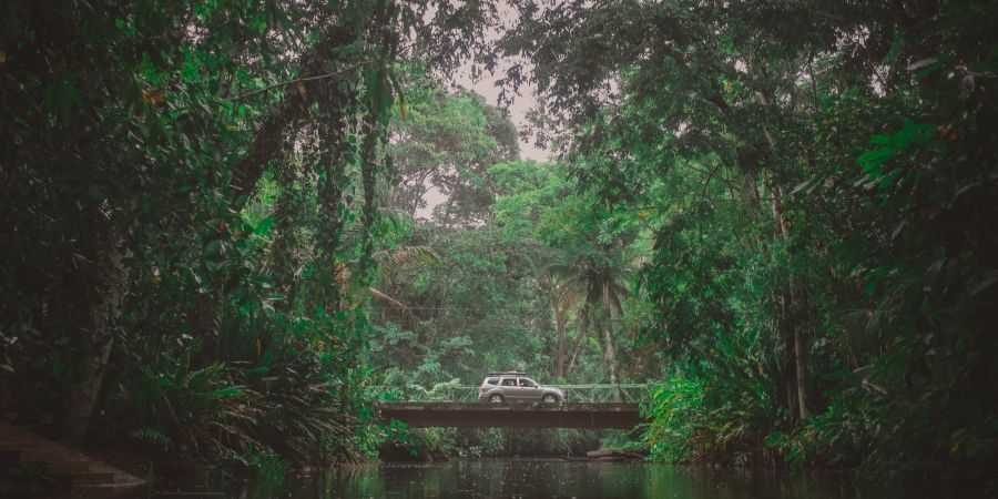 Geländewagen überquerdie Brücke über den Fluss im Dschungel von Costa Rica.