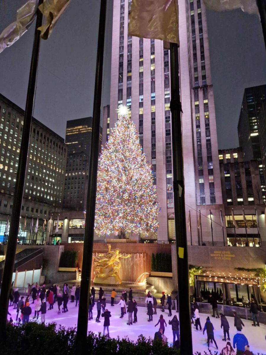 Ein Foto mit dem Weihnachtsbaum kostet 40 Dollar, wer auf die Eisbahn will, der zahlt 73 Dollar.