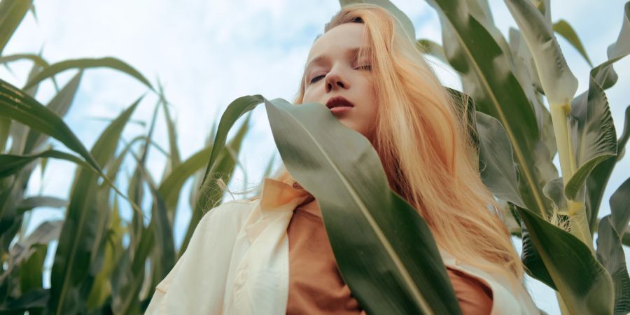 Modefoto eines Mädchens in einem Maisfeld. Blond in der Natur.