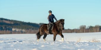 Frau reitet ein braunes Pferd im Schnee.