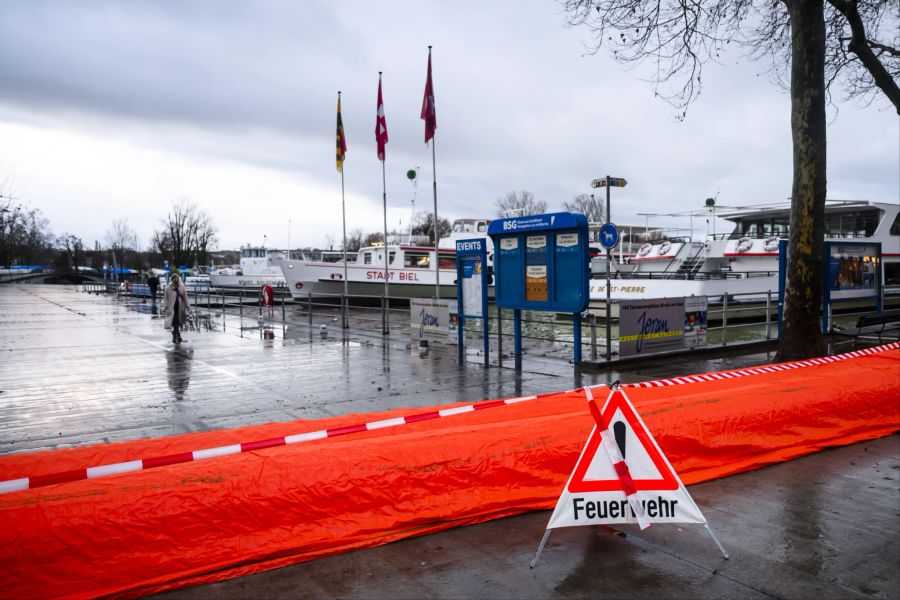 Gewässer wie der Bielersee müssen deshalb reguliert werden.