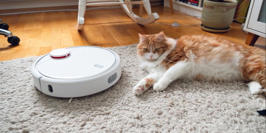 Katze Teppich Boden Roboter