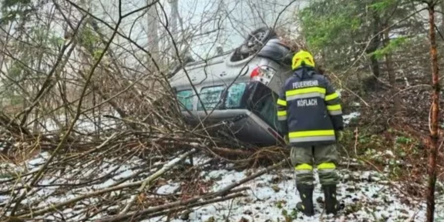 hündin leben gerettet autounfall