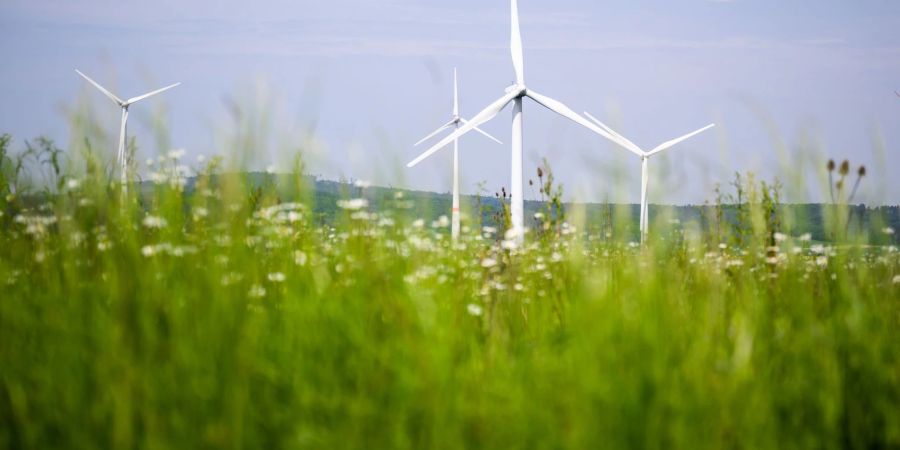 Auch Windkraft muss in den kommenden Jahren in der EU einer Richtlinie zufolge deutlich ausgebaut werden.