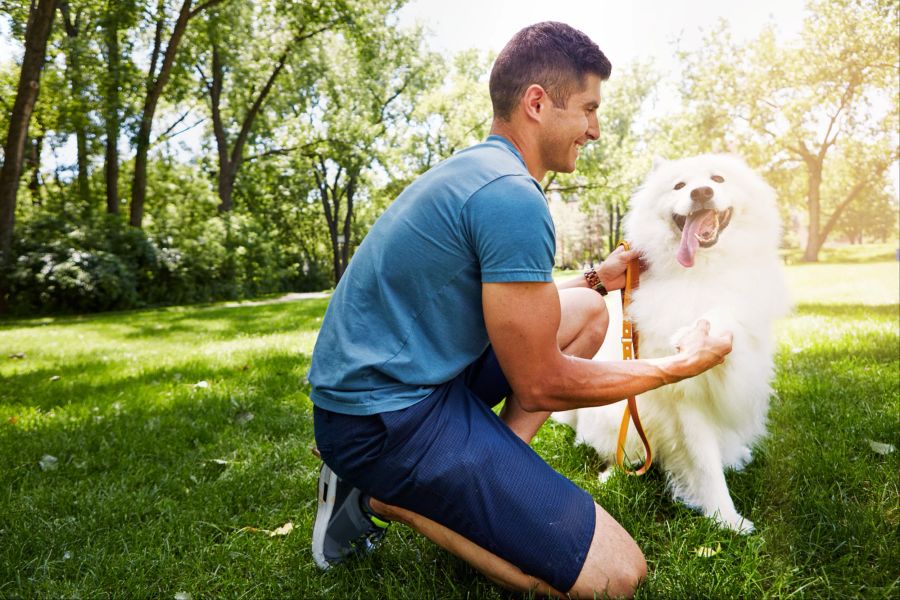 Mann und weisser Hund beim Training im FReien.